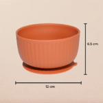 Plato hondo - Imagen 5